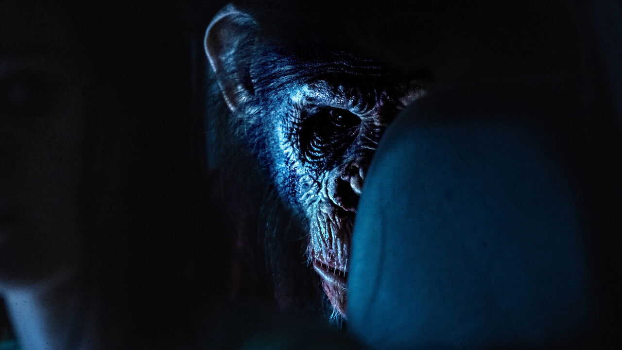 Primate 0